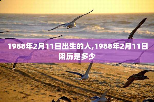 1988年2月11日出生的人,1988年2月11日阴历是多少