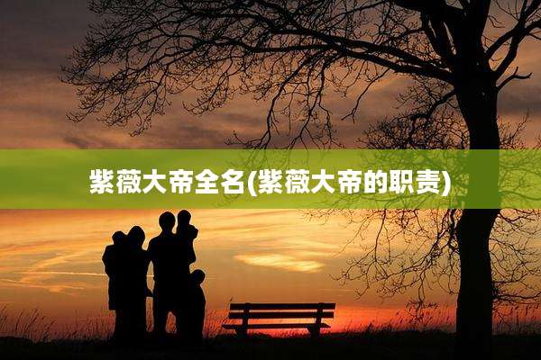 紫薇大帝全名(紫薇大帝的职责)