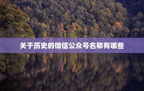 关于历史的微信公众号名称有哪些