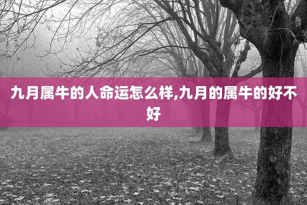 九月属牛的人命运怎么样,九月的属牛的好不好