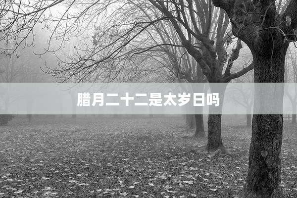 腊月二十二是太岁日吗