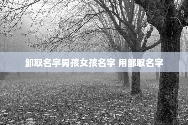 邹取名字男孩女孩名字 用邹取名字