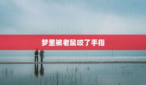 梦里被老鼠咬了手指