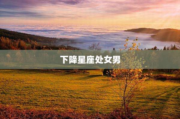 下降星座处女男