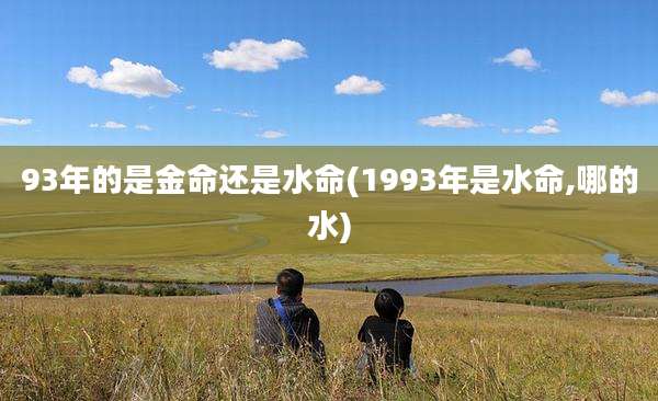 93年的是金命还是水命(1993年是水命,哪的水)