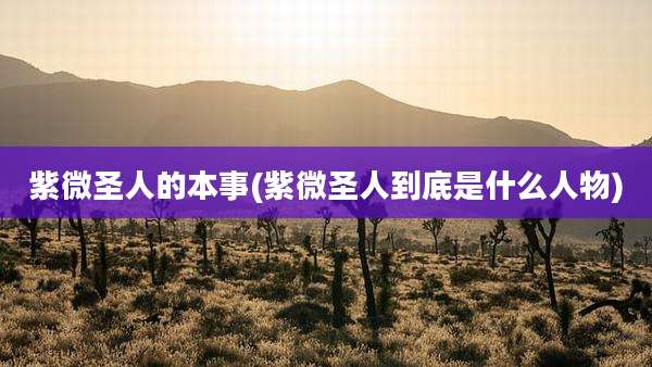 紫微圣人的本事(紫微圣人到底是什么人物)