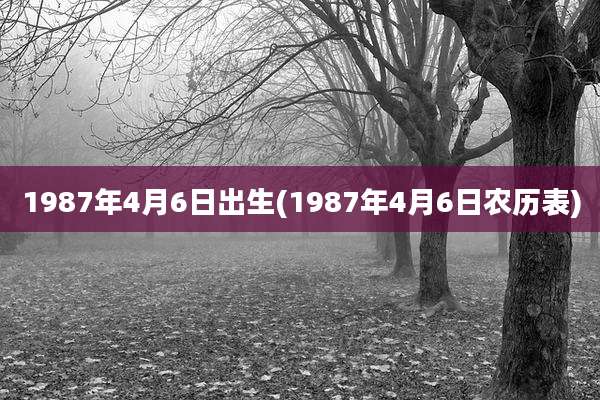 1987年4月6日出生(1987年4月6日农历表)