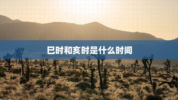 巳时和亥时是什么时间