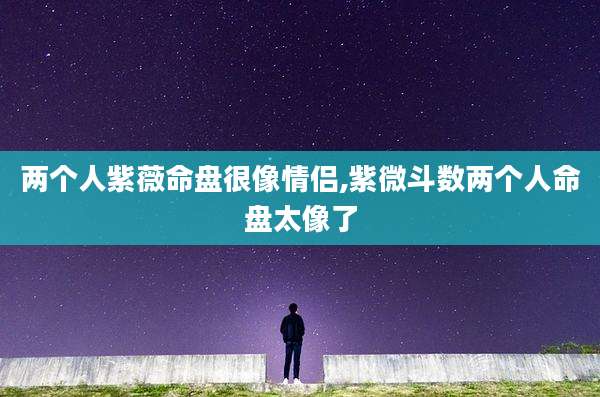 两个人紫薇命盘很像情侣,紫微斗数两个人命盘太像了