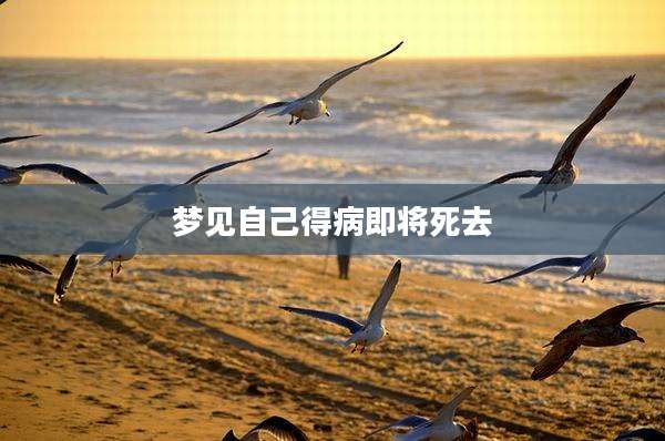 梦见自己得病即将死去