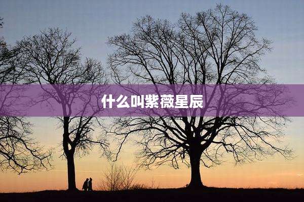 什么叫紫薇星辰