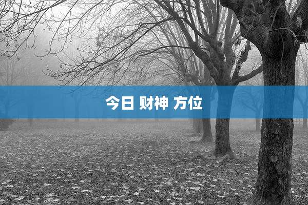 今日 财神 方位