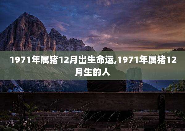 1971年属猪12月出生命运,1971年属猪12月生的人