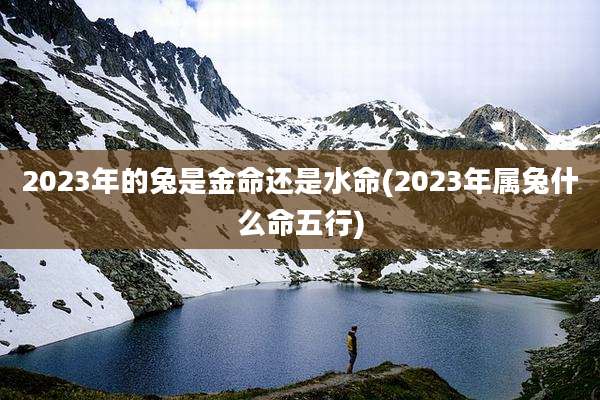 2023年的兔是金命还是水命(2023年属兔什么命五行)
