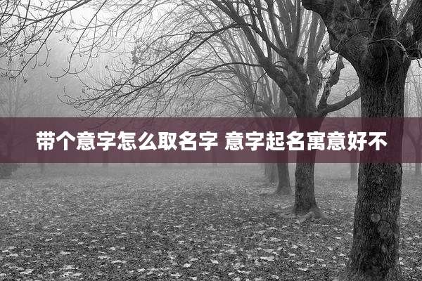 带个意字怎么取名字 意字起名寓意好不