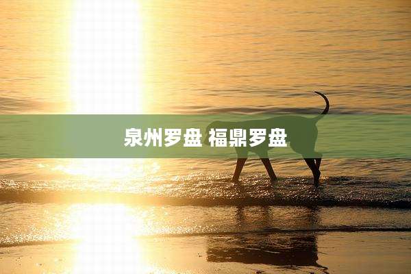 泉州罗盘 福鼎罗盘