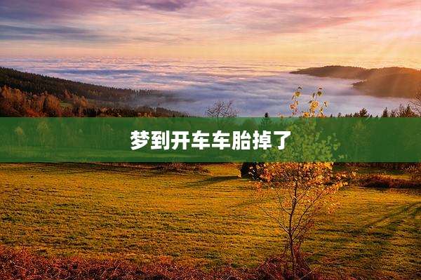 梦到开车车胎掉了