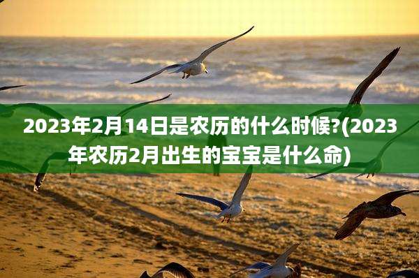 2023年2月14日是农历的什么时候?(2023年农历2月出生的宝宝是什么命)