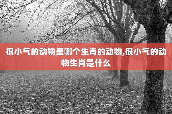 很小气的动物是哪个生肖的动物,很小气的动物生肖是什么