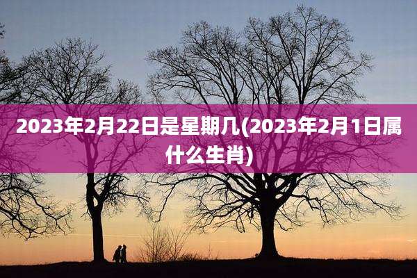 2023年2月22日是星期几(2023年2月1日属什么生肖)