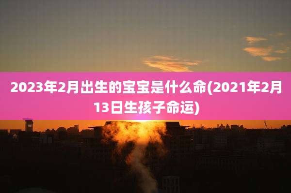 2023年2月出生的宝宝是什么命(2021年2月13日生孩子命运)