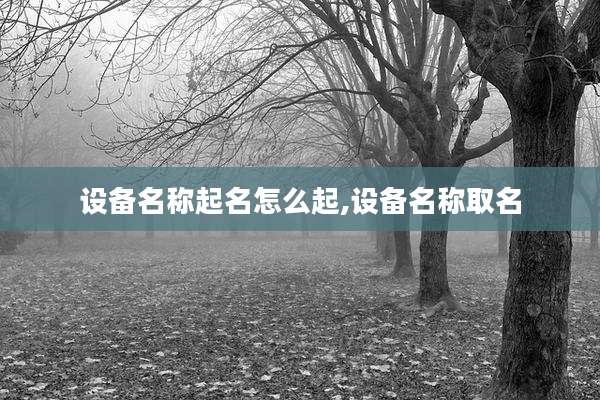 设备名称起名怎么起,设备名称取名