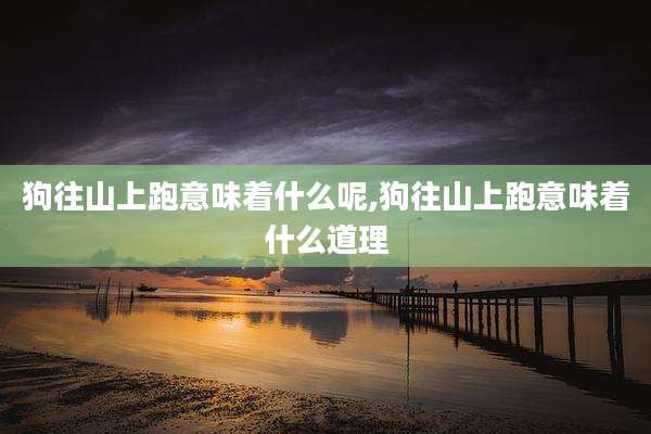 狗往山上跑意味着什么呢,狗往山上跑意味着什么道理