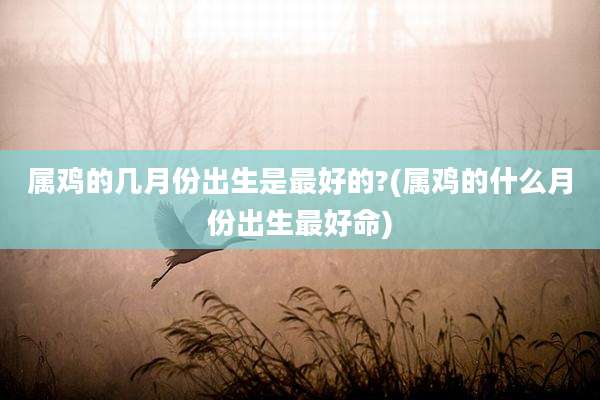 属鸡的几月份出生是最好的?(属鸡的什么月份出生最好命)