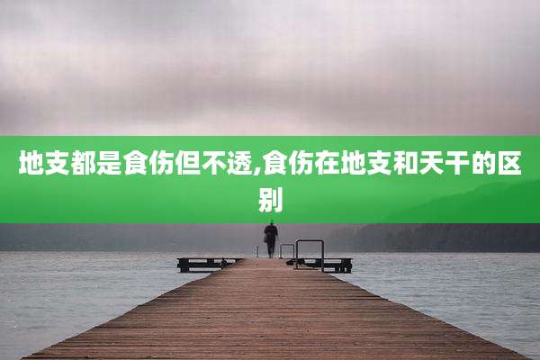 地支都是食伤但不透,食伤在地支和天干的区别