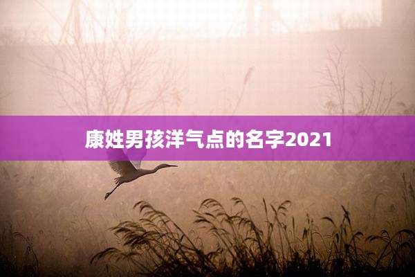 康姓男孩洋气点的名字2021
