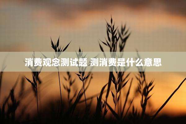 消费观念测试题 测消费是什么意思