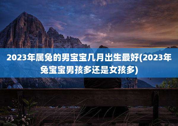 2023年属兔的男宝宝几月出生最好(2023年兔宝宝男孩多还是女孩多)