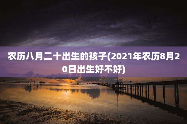 农历八月二十出生的孩子(2021年农历8月20日出生好不好)