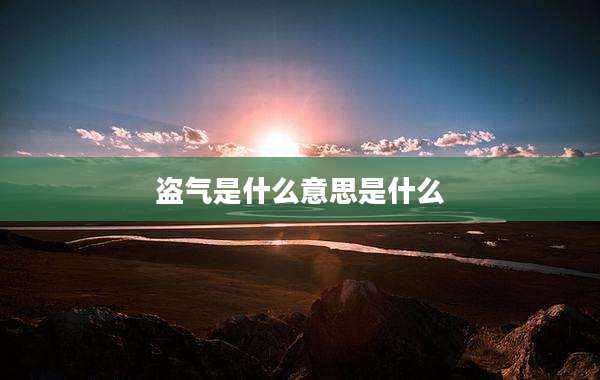 盗气是什么意思是什么