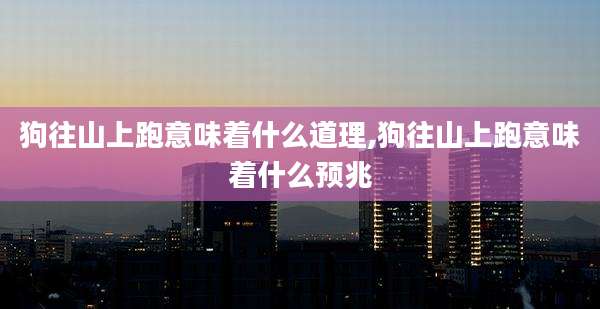 狗往山上跑意味着什么道理,狗往山上跑意味着什么预兆