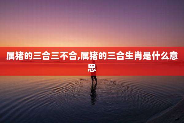 属猪的三合三不合,属猪的三合生肖是什么意思