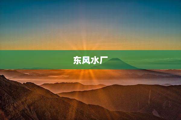 东风水厂