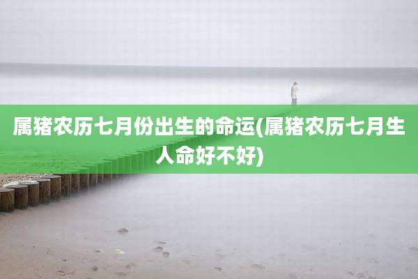 属猪农历七月份出生的命运(属猪农历七月生人命好不好)