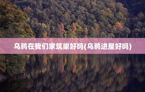 乌鸦在我们家筑巢好吗(乌鸦进屋好吗)