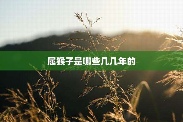 属猴子是哪些几几年的