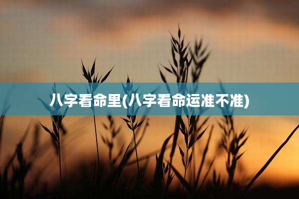 八字看命里(八字看命运准不准)
