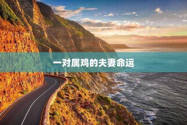 一对属鸡的夫妻命运
