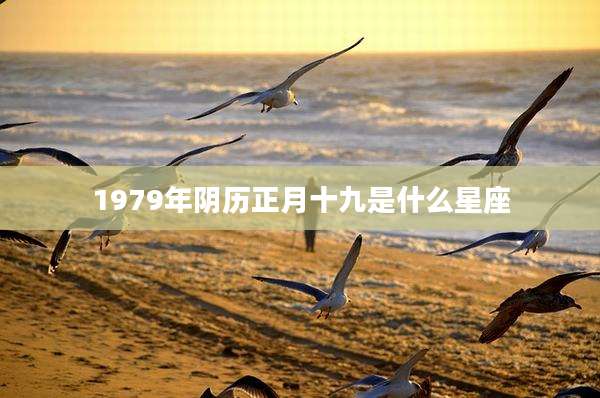 1979年阴历正月十九是什么星座