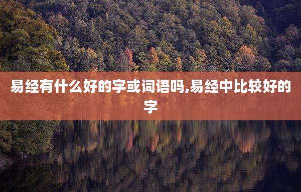 易经有什么好的字或词语吗,易经中比较好的字
