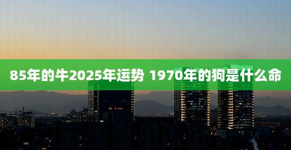 85年的牛2025年运势 1970年的狗是什么命