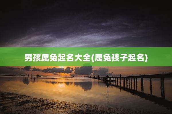 男孩属兔起名大全(属兔孩子起名)