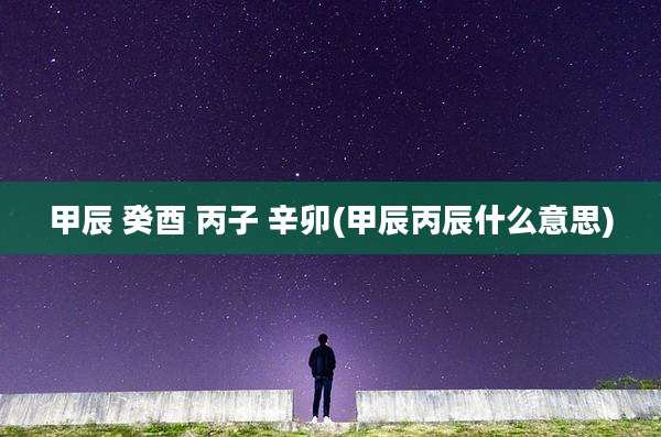 甲辰 癸酉 丙子 辛卯(甲辰丙辰什么意思)