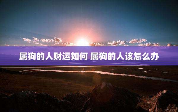 属狗的人财运如何 属狗的人该怎么办