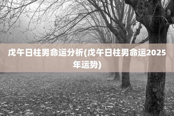 戊午日柱男命运分析(戊午日柱男命运2025年运势)