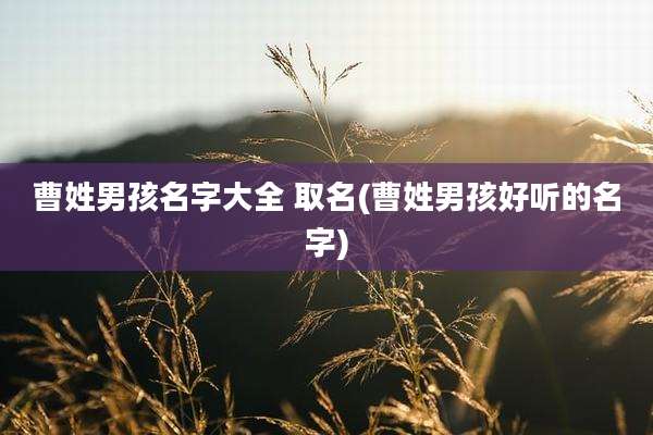 曹姓男孩名字大全 取名(曹姓男孩好听的名字)
